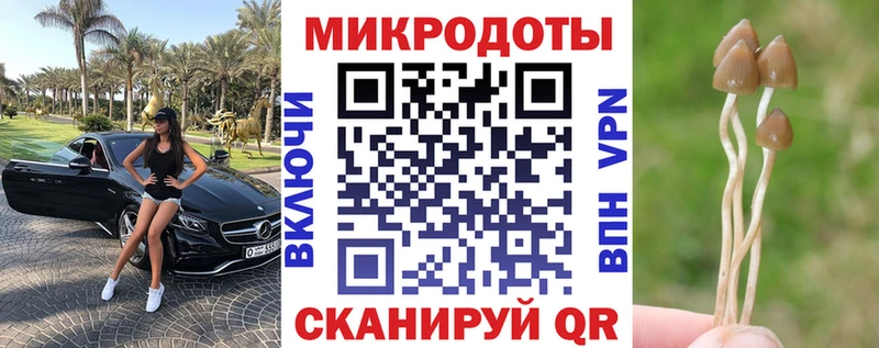 блэк спрут ссылки  Фрязино  Галлюциногенные грибы Psilocybine cubensis 