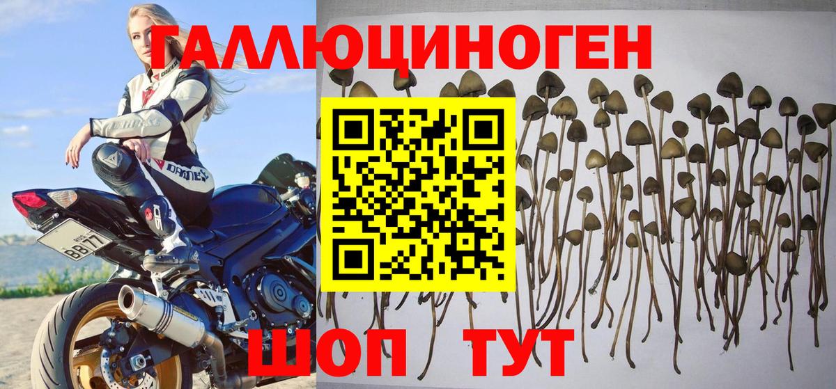 Псилоцибиновые грибы прущие грибы  Вход с VPN  Фрязино 