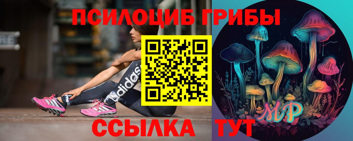 Псилоцибиновые грибы Psilocybe  Фрязино  Галлюциногенные грибы Magic Shrooms 